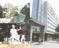 Shanghai University of Traditional Chinese Medicine